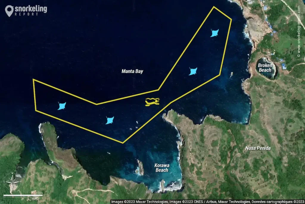 Compare Manta Bay and Manta Point: Manta Bay is perfect for snorkeling with calm, shallow waters, while Manta Point offers a deeper dive with stronger currents for more experienced divers.