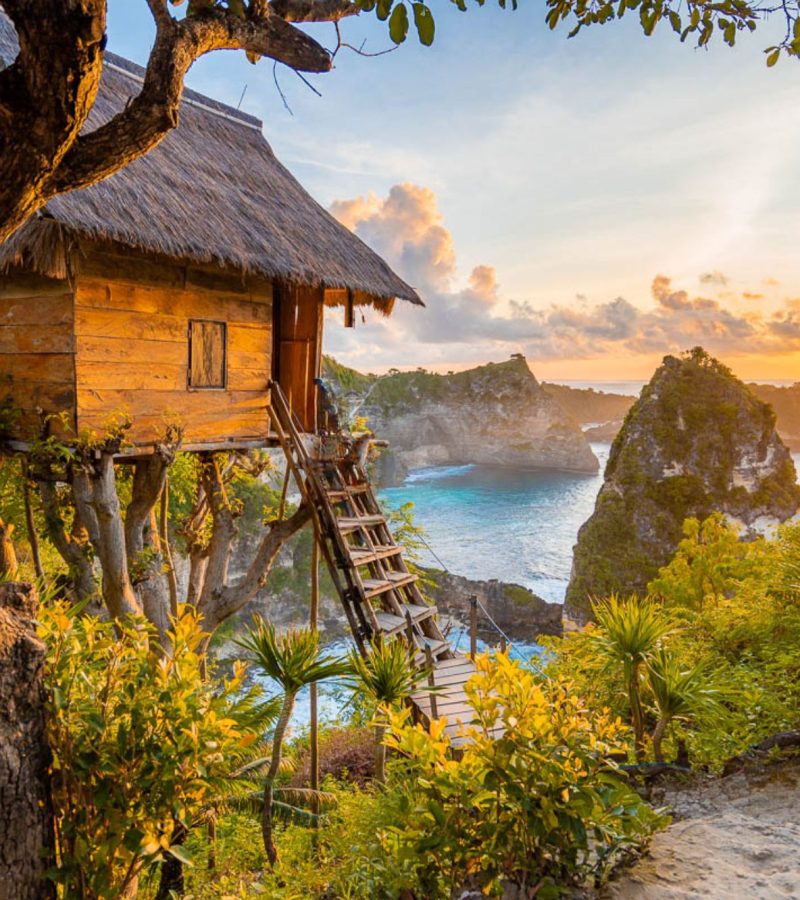 tree house nusa penida